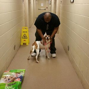 Meet your Posher, Ernest